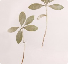 A futuristic neon lit cyborg face